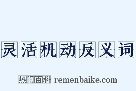 灵活机动反义词是什么意思的图片